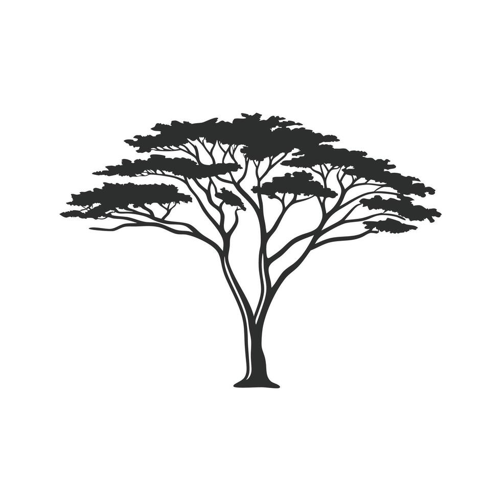 Abstract Acacia Tree Outline Art vector