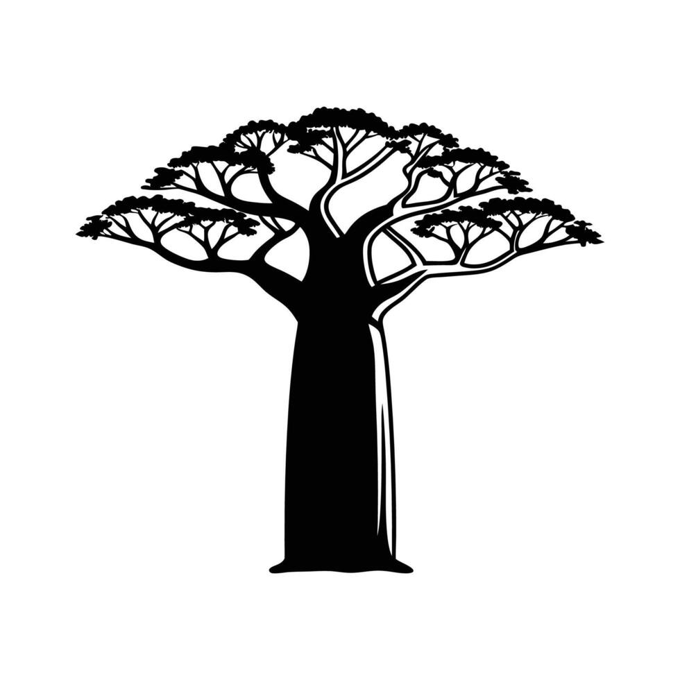 Stylish Outline of African Baobab Tree vector