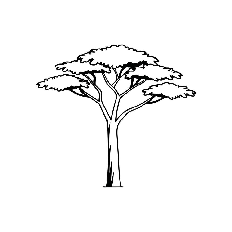 Illustration of Mahogany Tree Outline vector