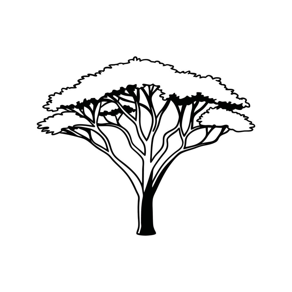 Design of African Olive Tree Outline vector