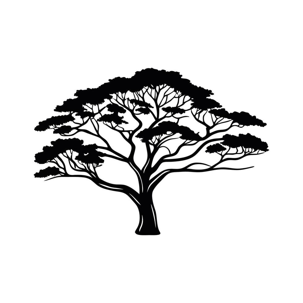 Elegant Mahogany Tree Outline Art vector