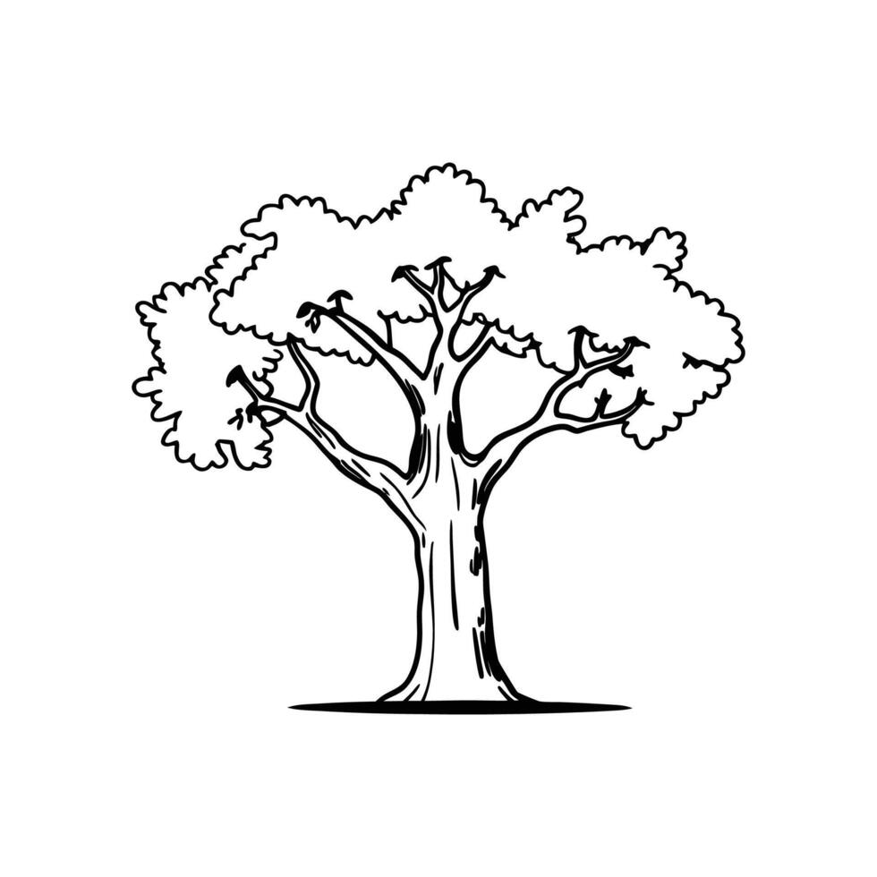 Stylized Outline of Sycamore Tree Design vector