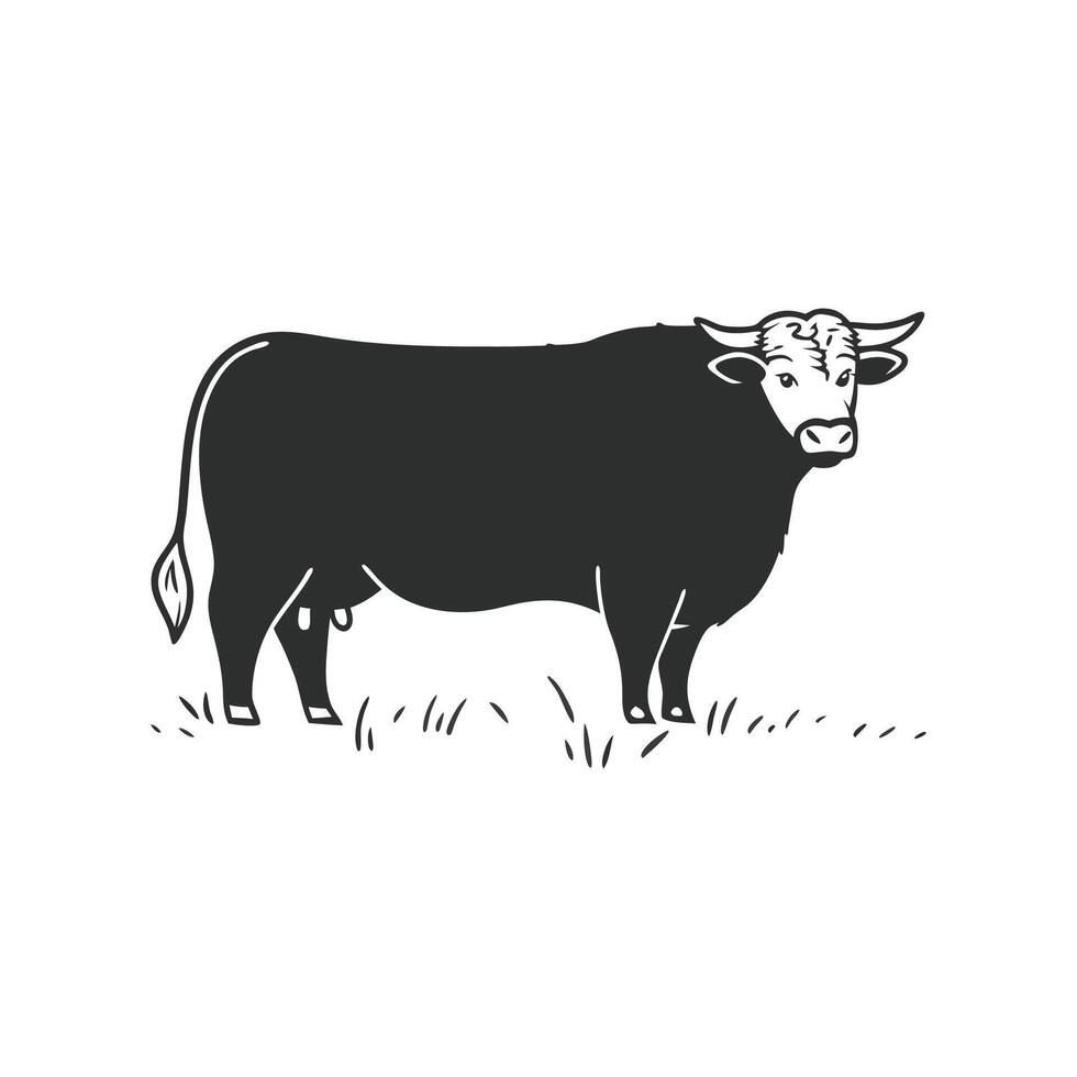 Artistic Angus Bull Outline Design. vector