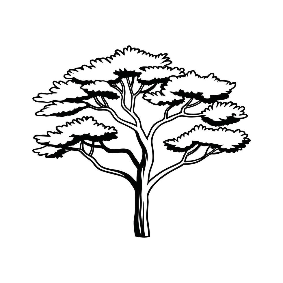 Stylized Outline of Arizona Cypress vector