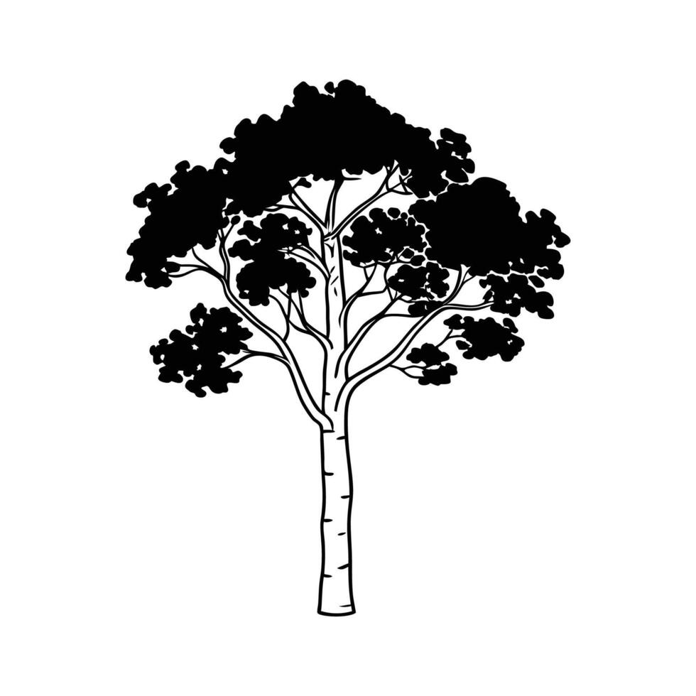 Stylized Aspen Tree Outline Illustration vector