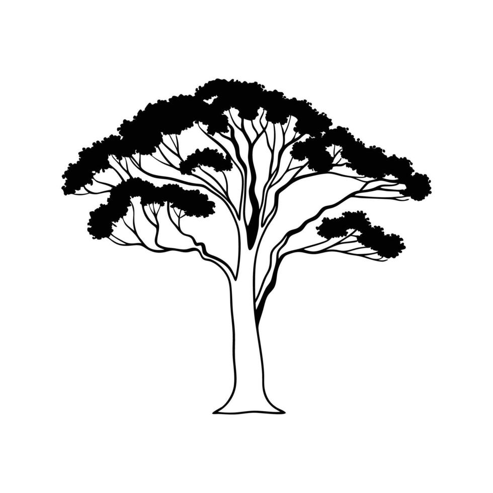 Eucalyptus Tree Bold Outline Design vector