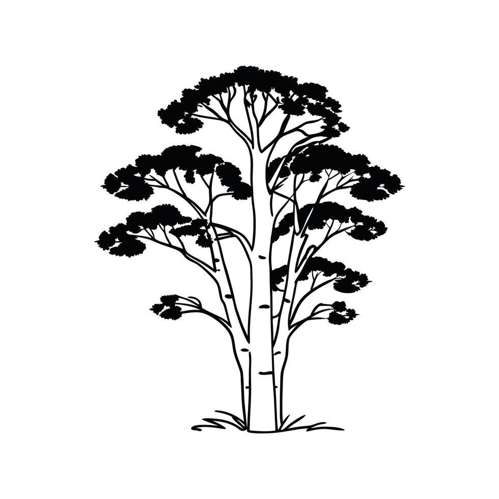 Outline Design of Aspen Tree vector