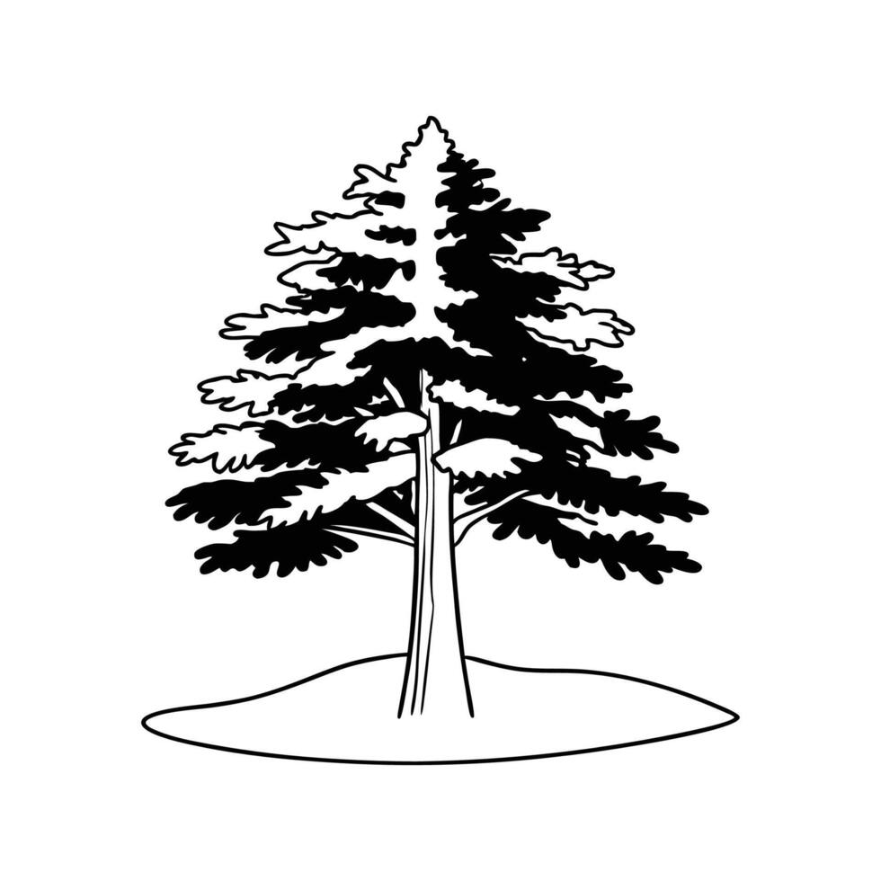 Outline Design of Austrian Pine Tree vector