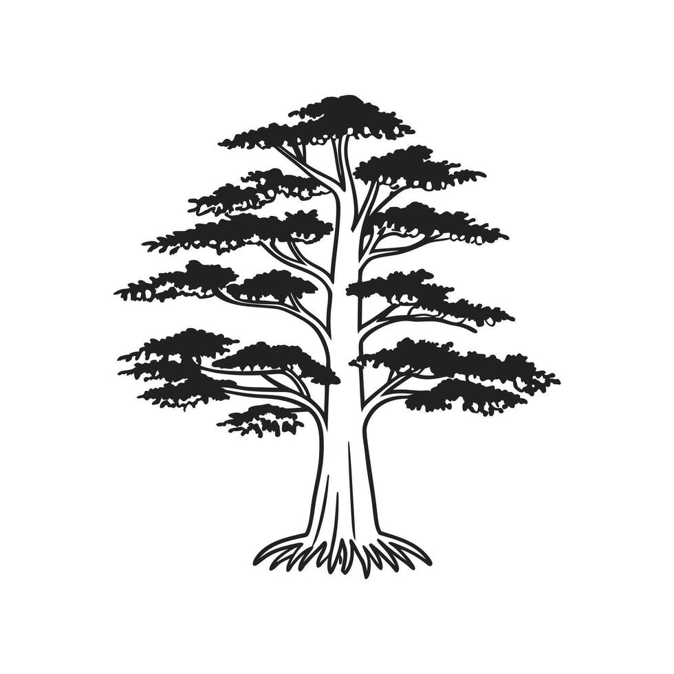 Artistic Outline of Bald Cypress Tree vector