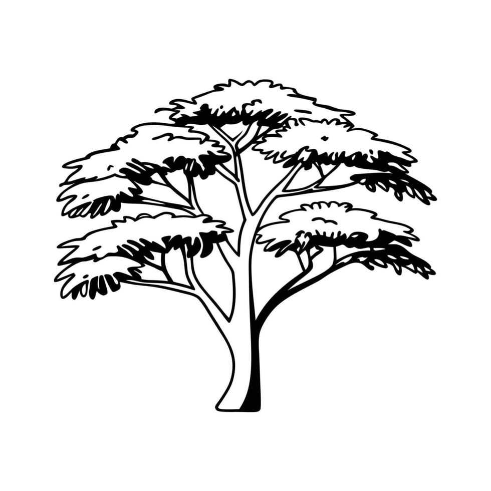 Bold Outline Illustration of Balsa Tree vector