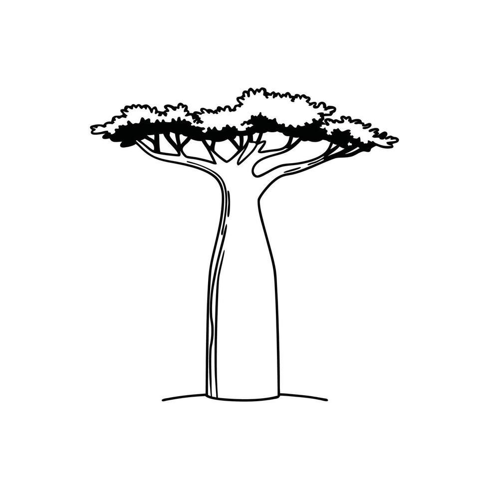 Bold Outline of Baobab Tree. vector