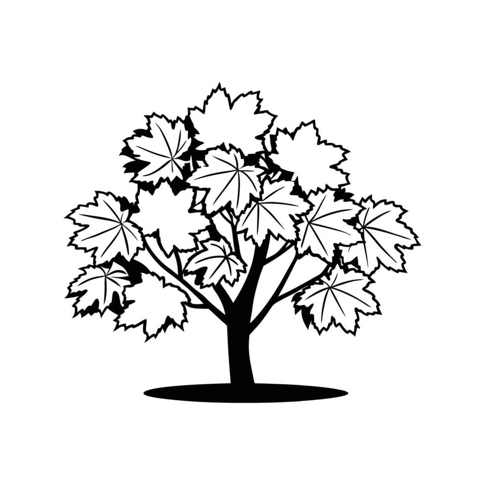 Outline of Big Leaf Maple Tree vector