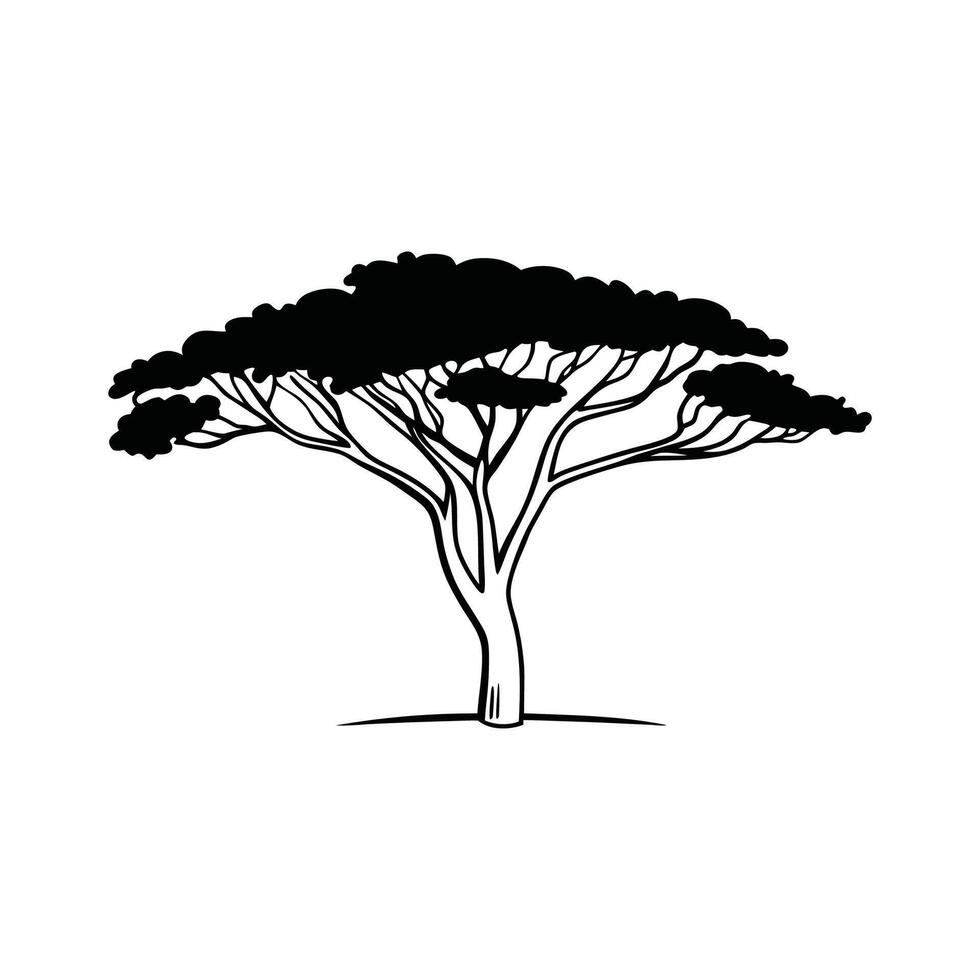 Stylized Outline of Black Ironwood Tree vector
