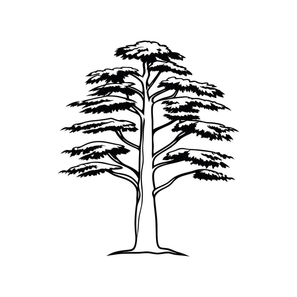 Stylized Outline of Blue Atlas Cedar Tree vector