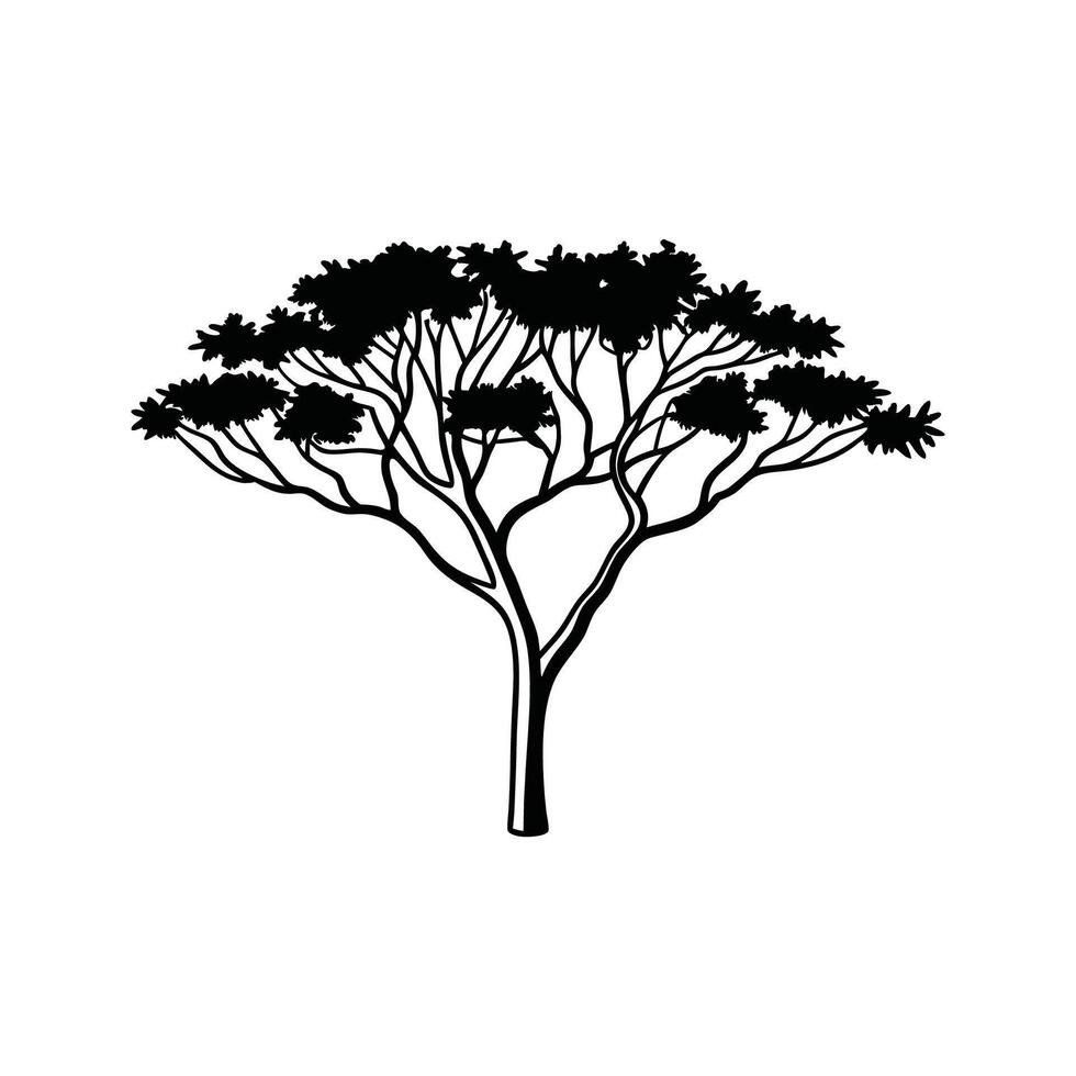 Artistic Outline Design of Bushwillow Tree vector