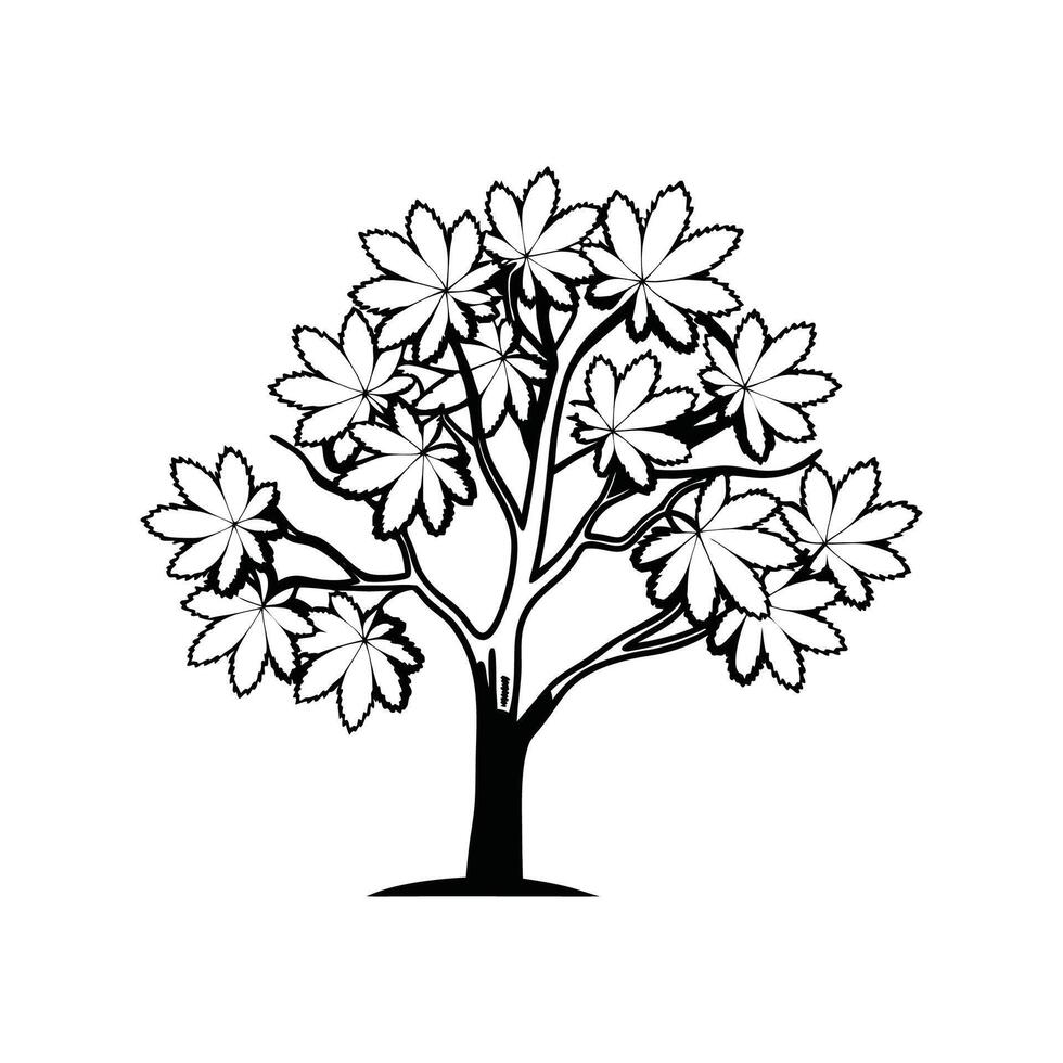 Outline of California Buckeye Tree vector