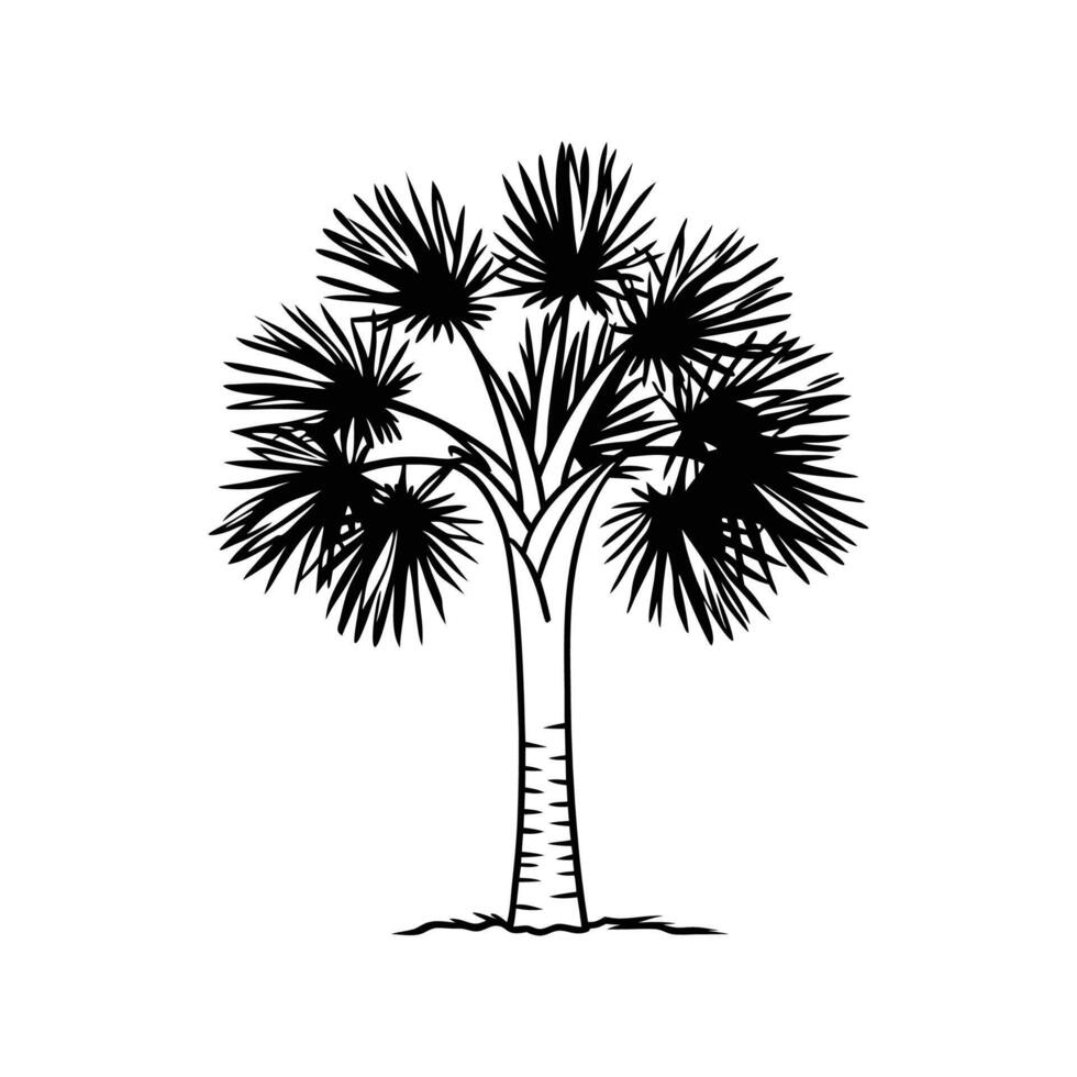 Stylized Outline of California Fan Palm Tree vector