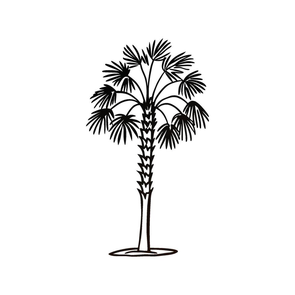 Artistic Outline Design of California Fan Palm vector