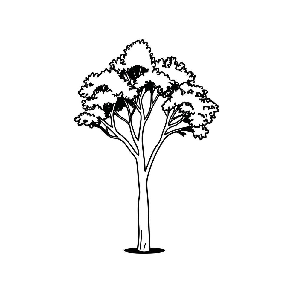 Outline Design of California Laurel Tree vector