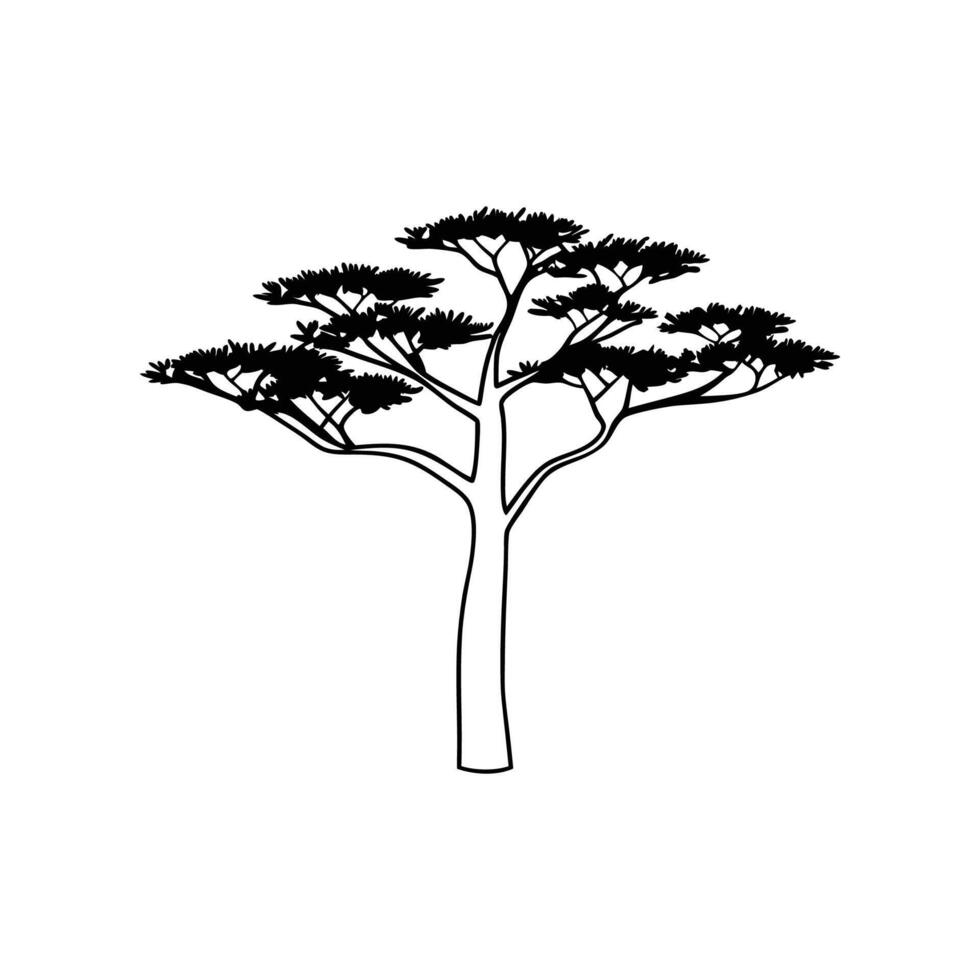 Stylized Outline of Casuarina Tree vector