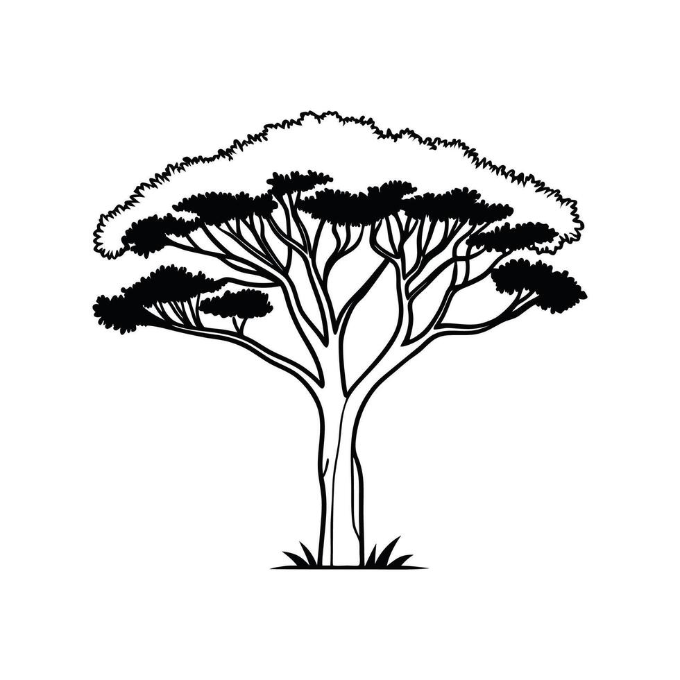Outline Design of Casuarina Tree vector