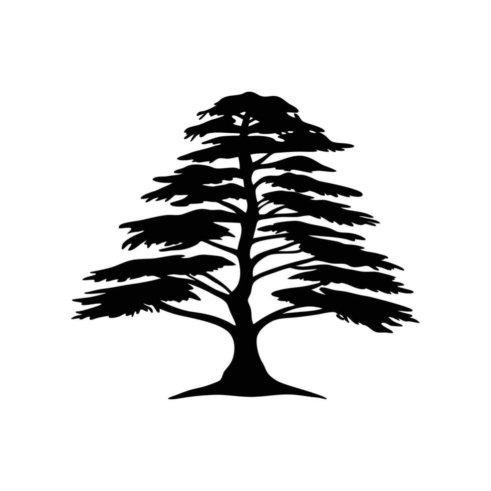 Bold Outline of Cedar of Lebanon Tree vector
