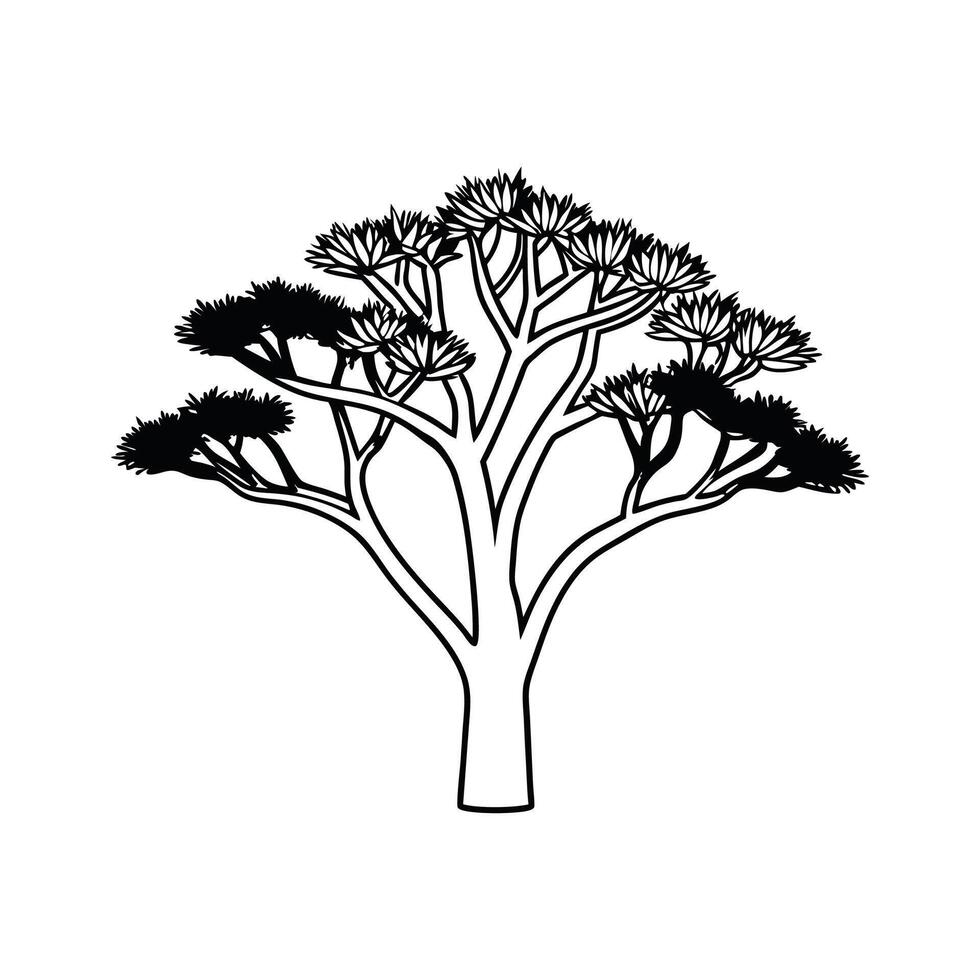Casuarina Tree Outline Design vector