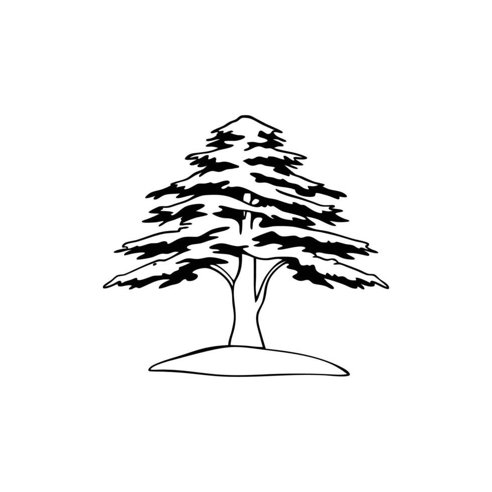 Artistic Outline Design of Cedar of Lebanon vector