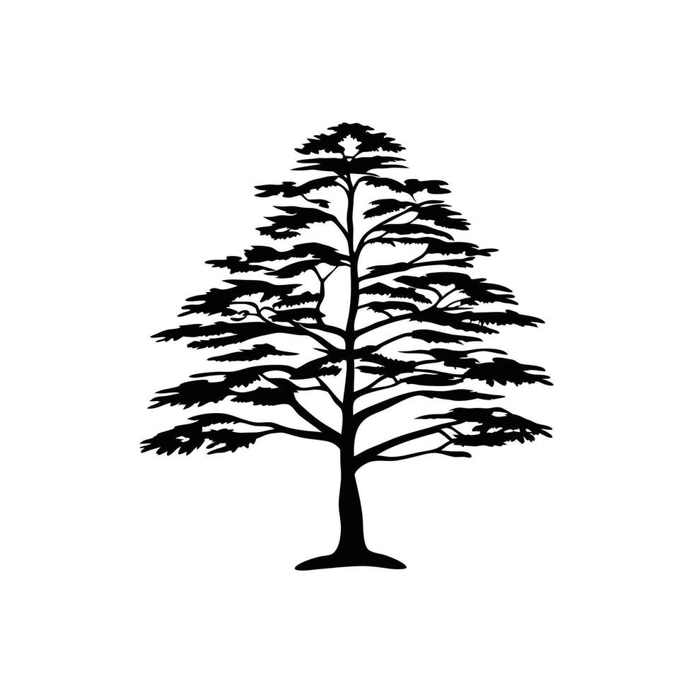 Outline Design of Cedar Tree vector