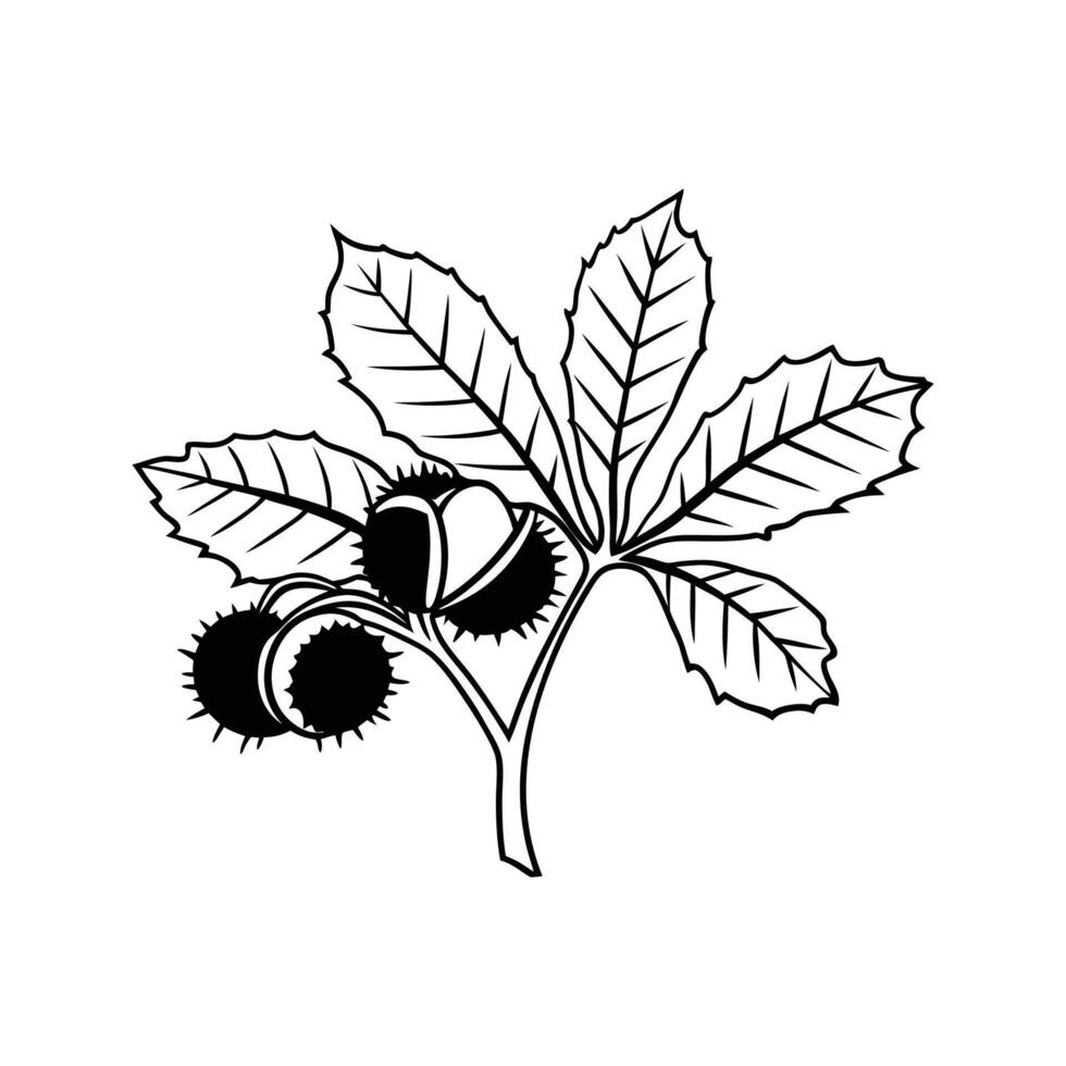 Outline of Chestnut Tree vector