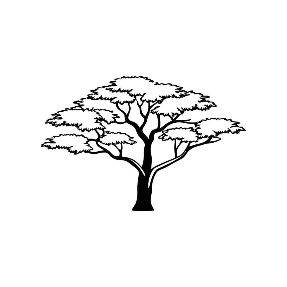 Outline Design of Chinese Elm Tree vector