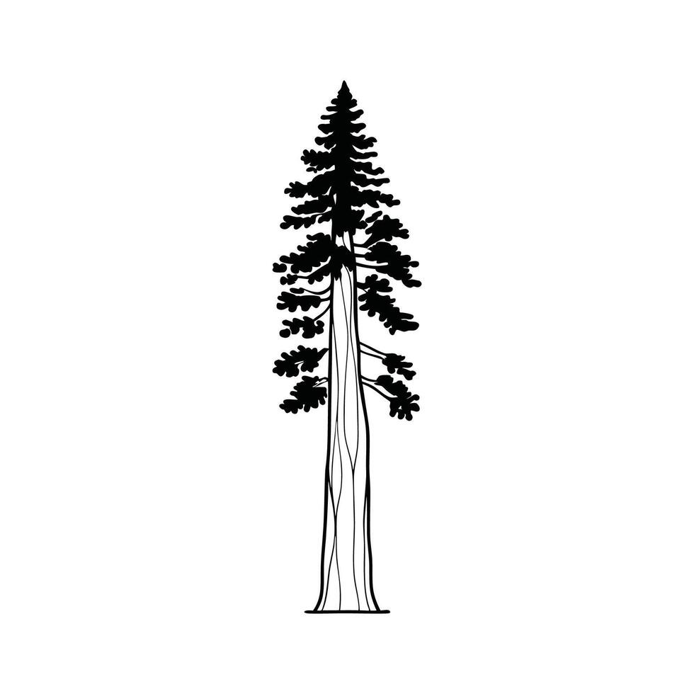 Coast Redwood Tree Bold Outline Design vector