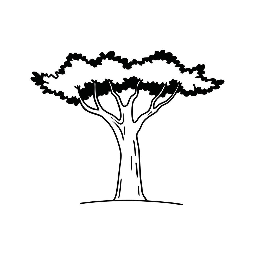 Stylish Cork Oak Tree Illustration vector