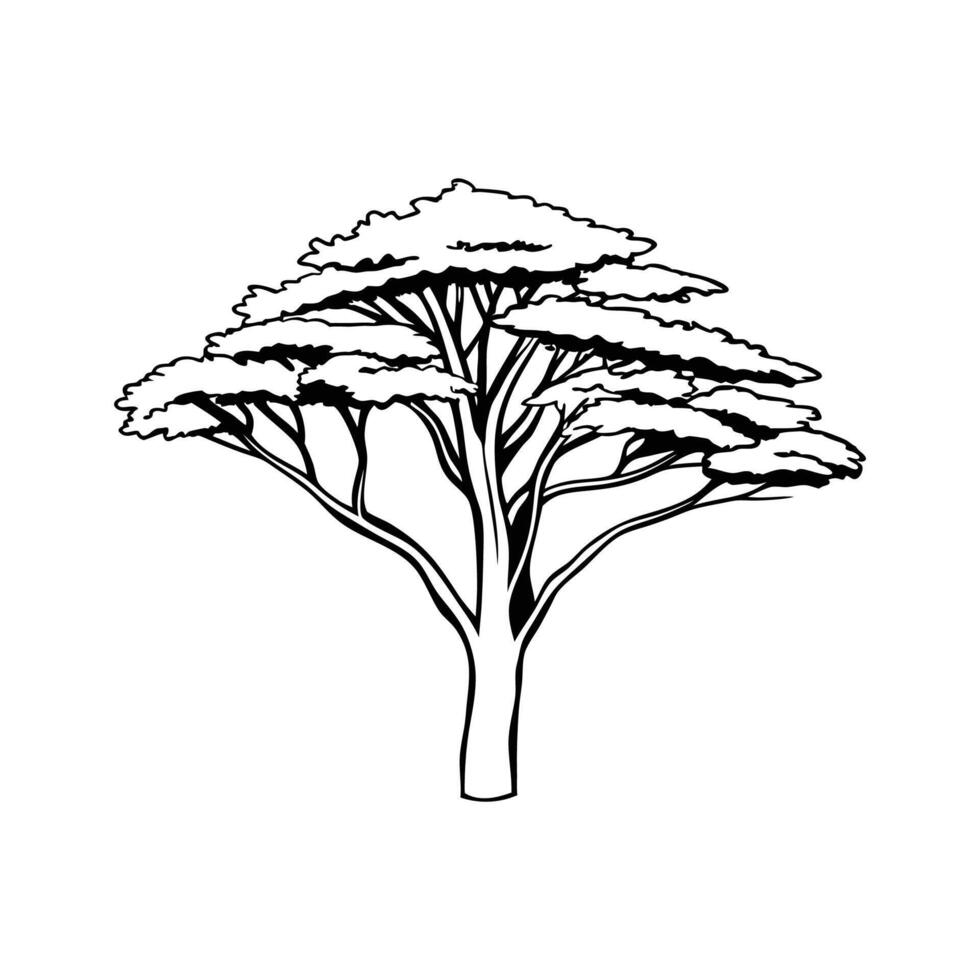 Unique Cypress Tree Bold Outline Illustration vector