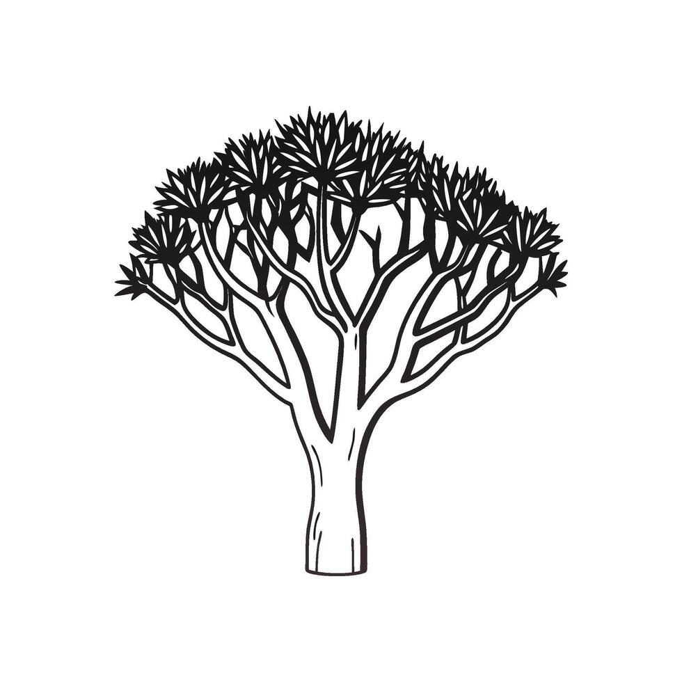 Artistic Outline of Devils Walking Stick Tree vector