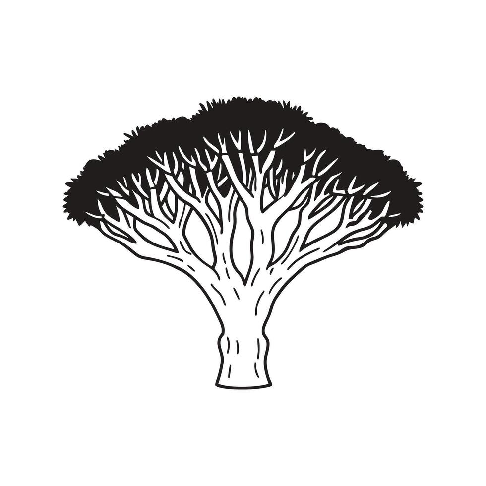 Stylish Dragons Blood Tree Illustration vector