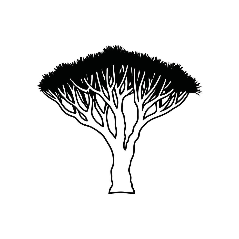 Elegant Dragons Blood Tree Design with Bold Outline vector