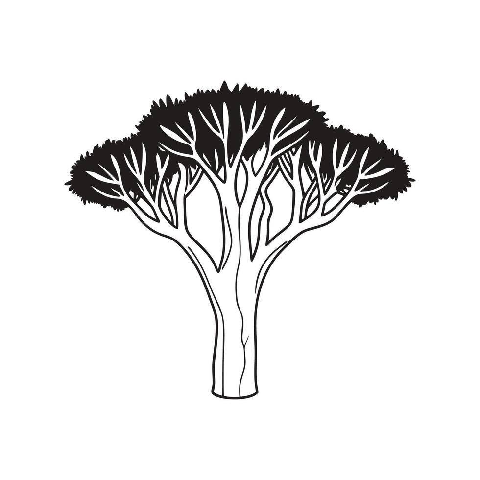 Dragon Tree Bold Outline Artistic Design. vector