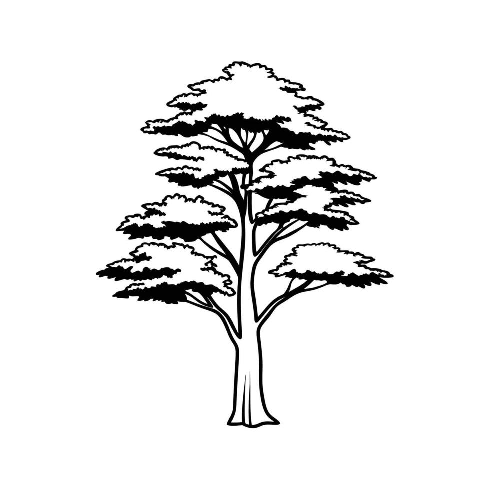 Stylish Eastern Raved Cedar Tree Illustration vector