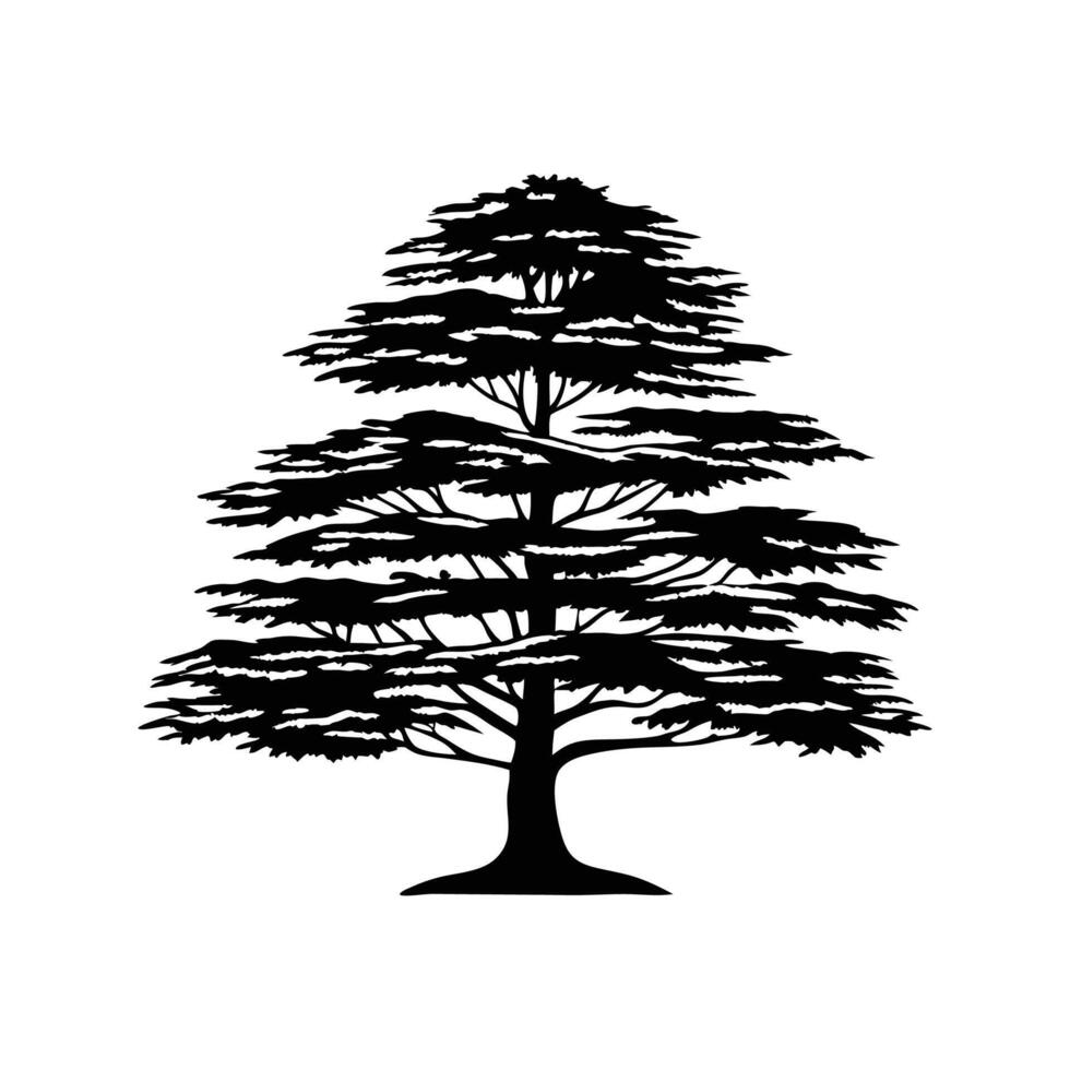 Artistic Outline of Eastern Raved Cedar Tree vector