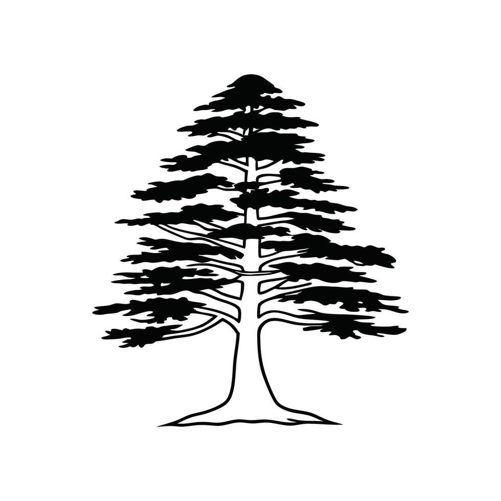 Elegant Eastern Red Cedar Tree Design Outline vector