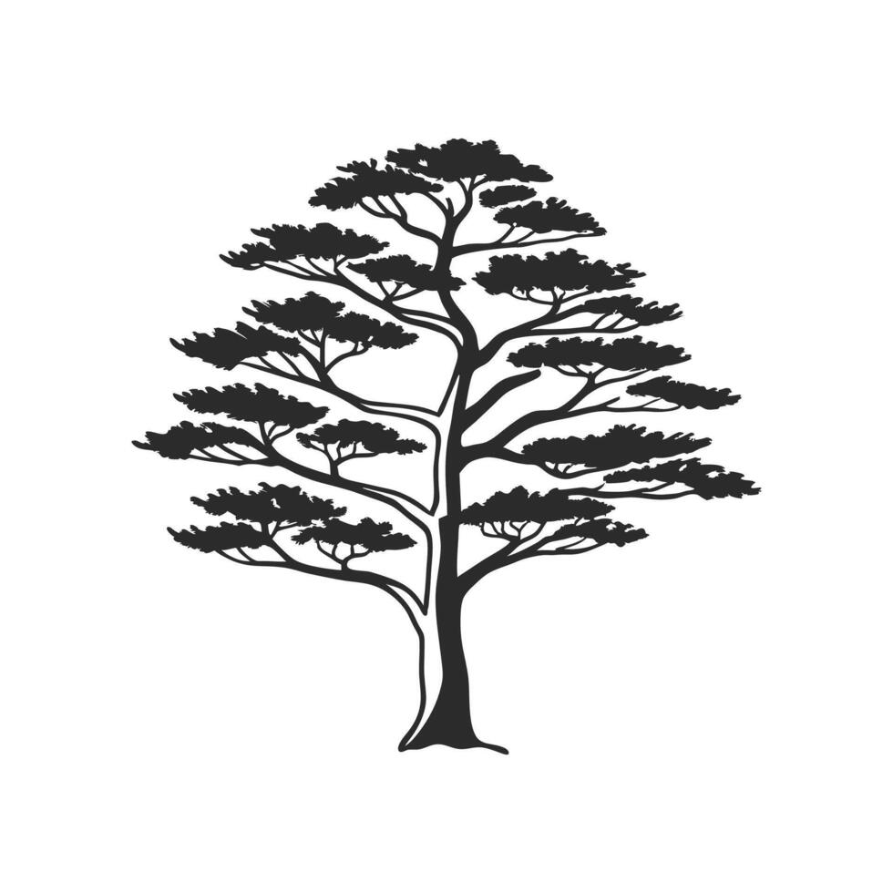 Eastern White Pine Tree Bold Outline Design vector