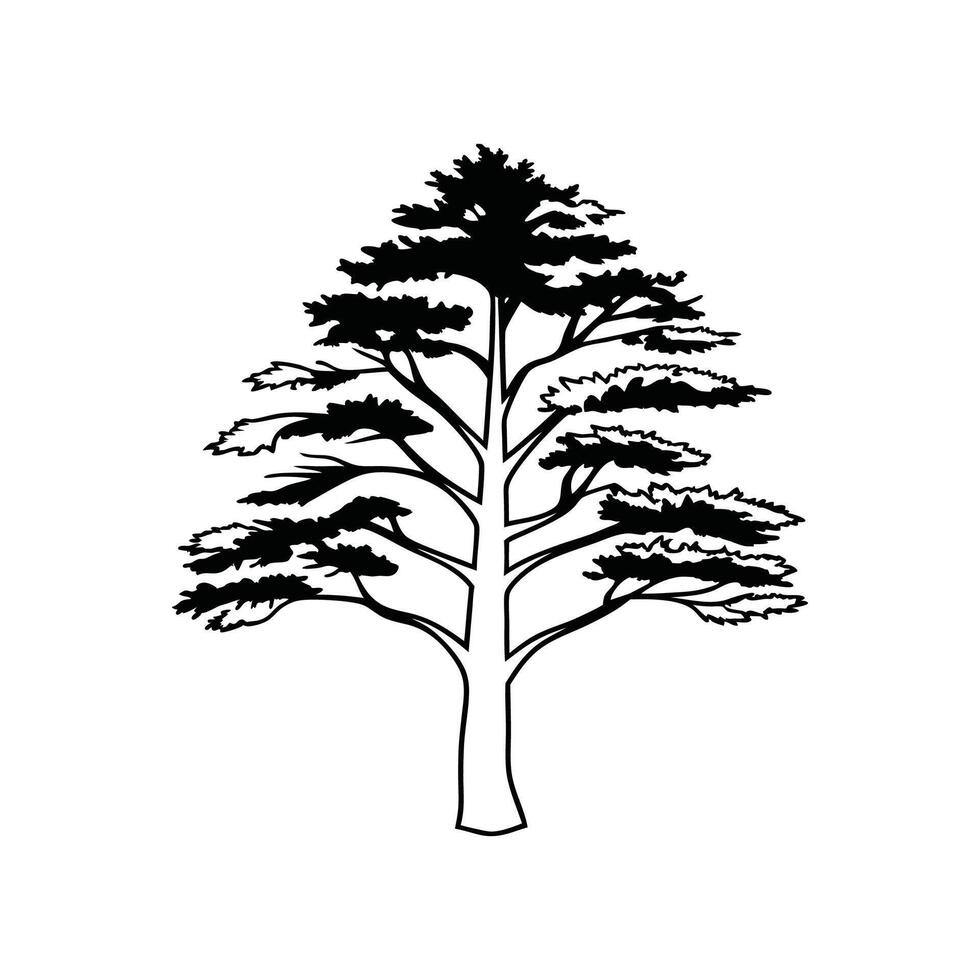 Artistic Outline of Eastern White Pine Tree vector