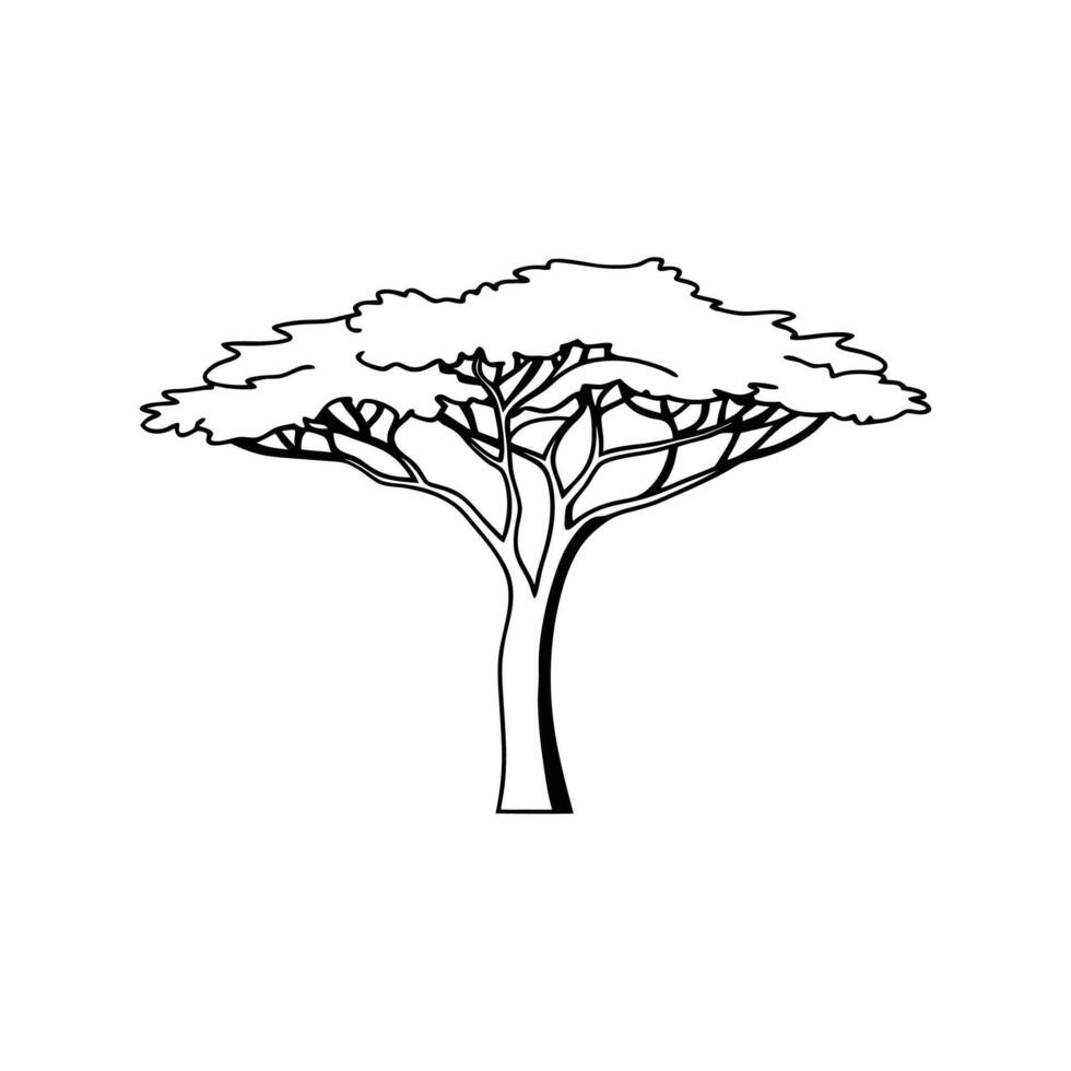 Stylish Outline Illustration of Ebony Tree vector