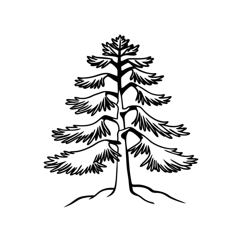 Artistic Outline of European Larch Tree vector
