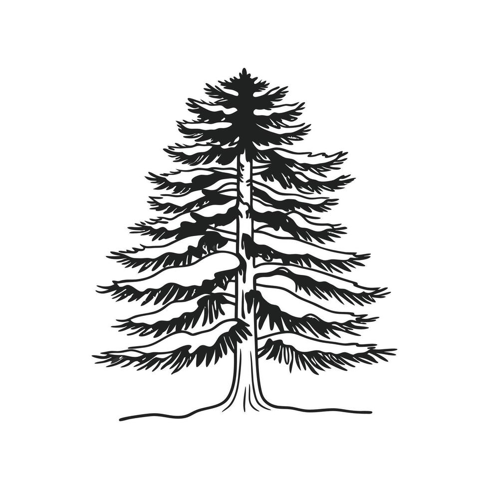 European Larch Tree Bold Outline Unique Design vector