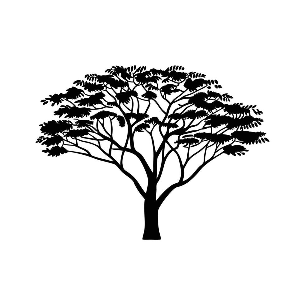 Artistic Outline of False Acacia Tree vector