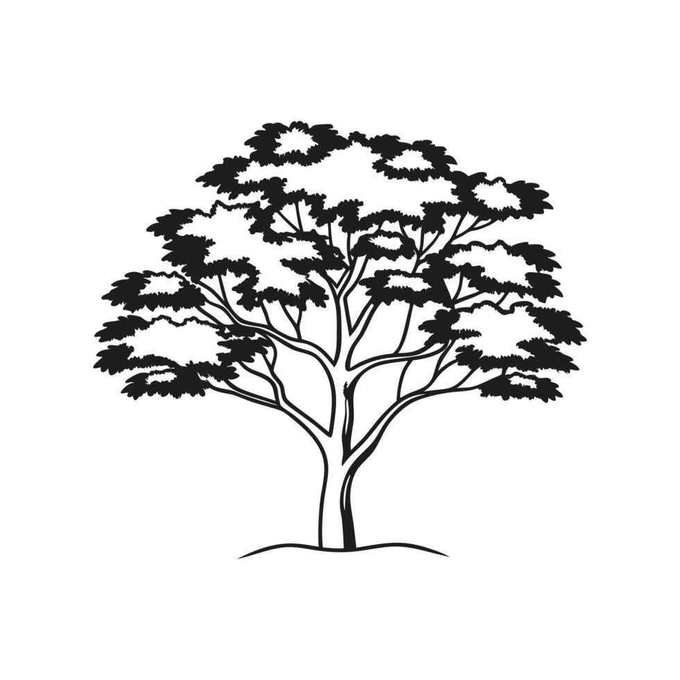 Artistic Outline of Florida Maple Tree vector