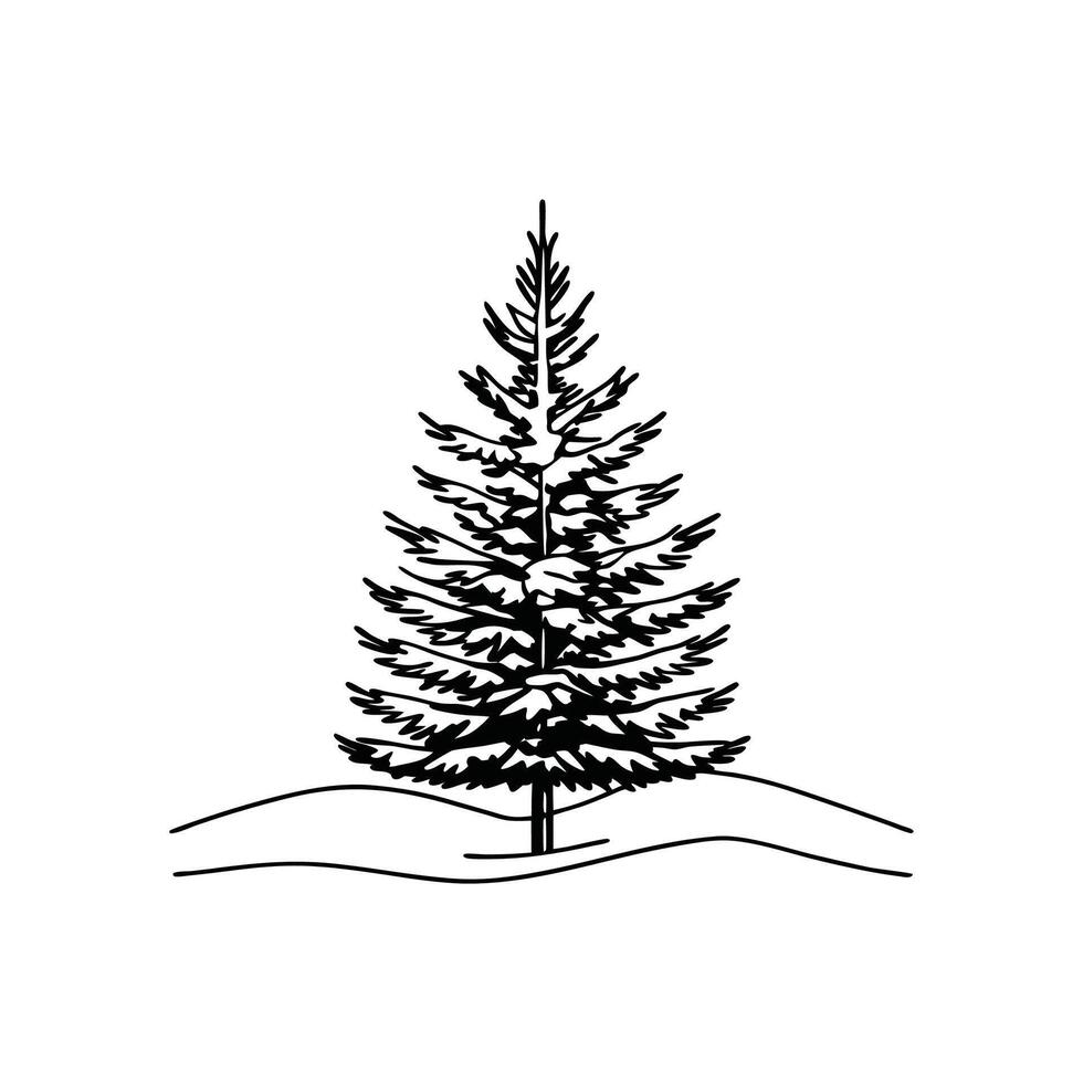 Fraser Fir Tree Bold Outline Artistic Design vector