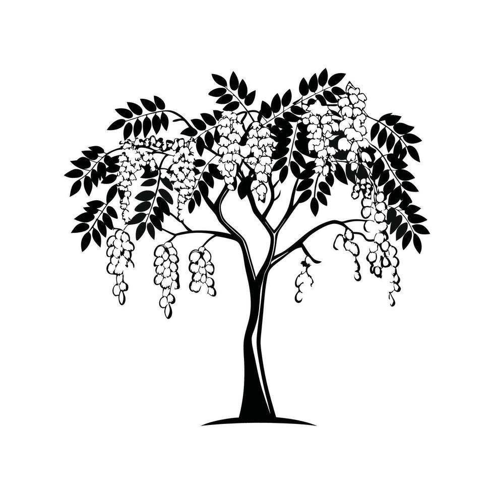 Artistic Outline of Golden Chain Tree vector